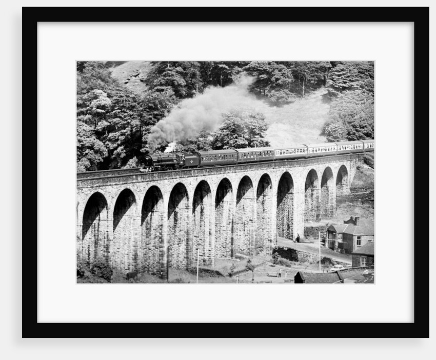 Steam Trains by Reader