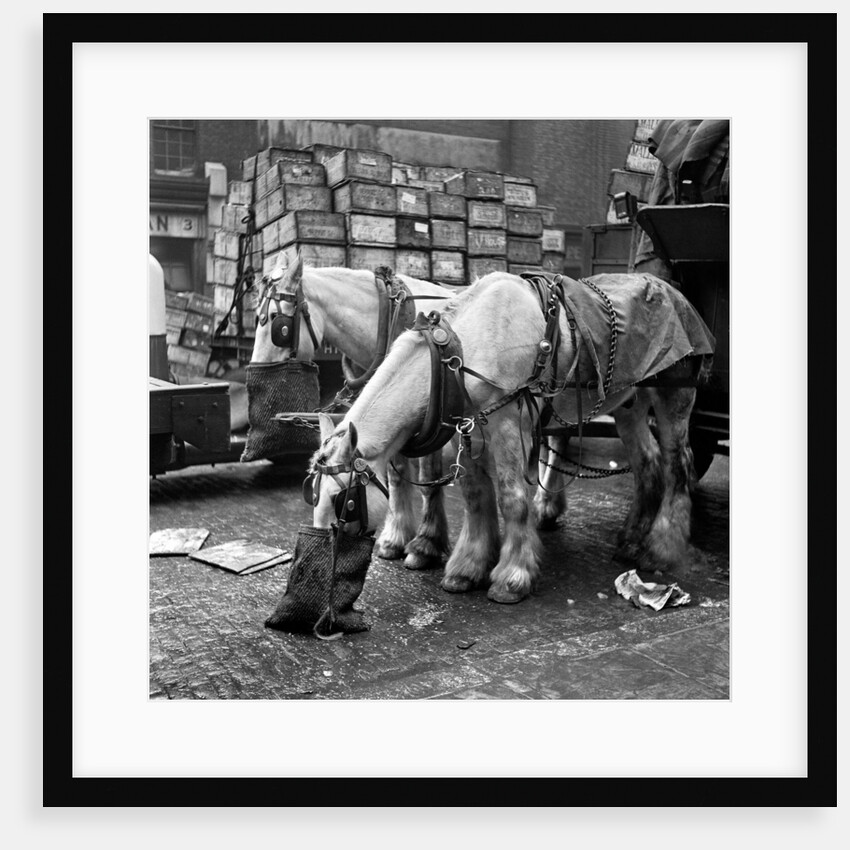 Billingsgate Fish Market 1954 by Bela Zola