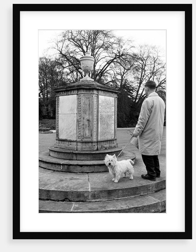 Newstead Abbey by Staff