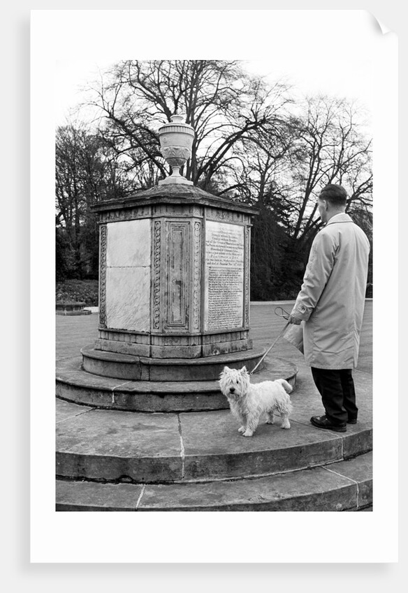 Newstead Abbey by Staff