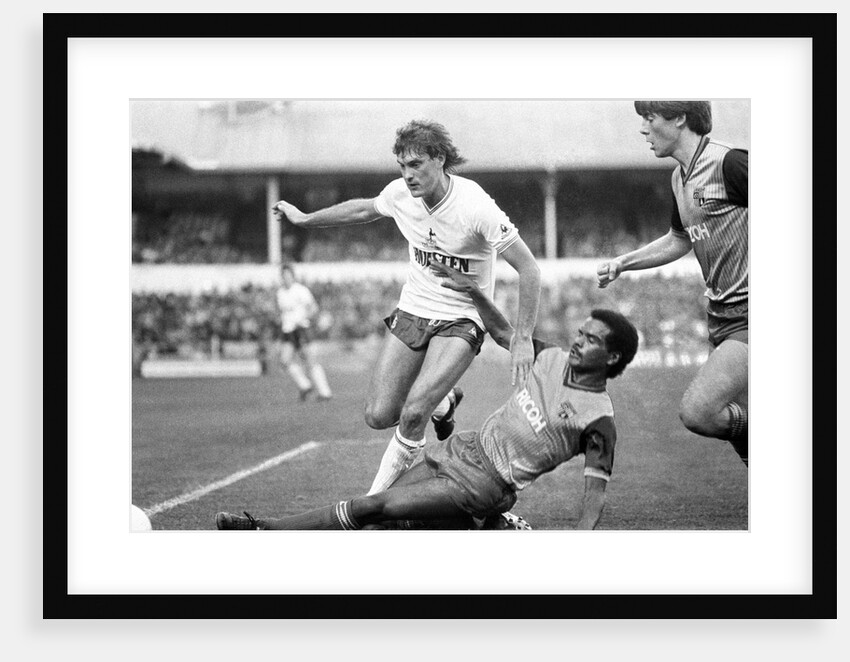 Tottenham Hotspur v Stoke City by Nigel Cairns