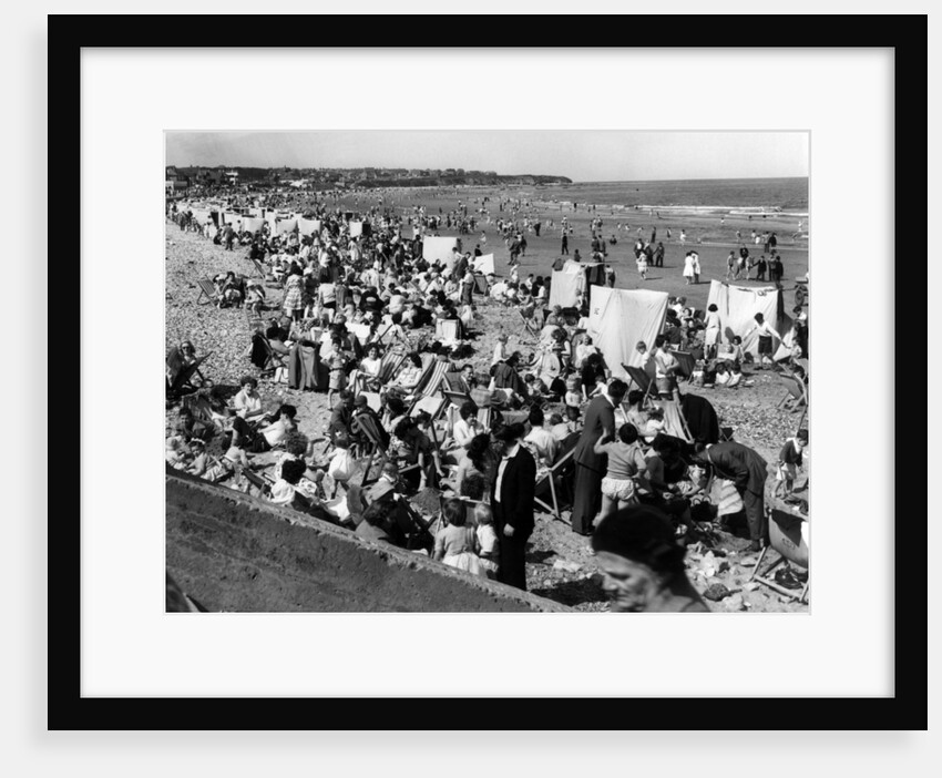 Saltburn by NCJ Staff