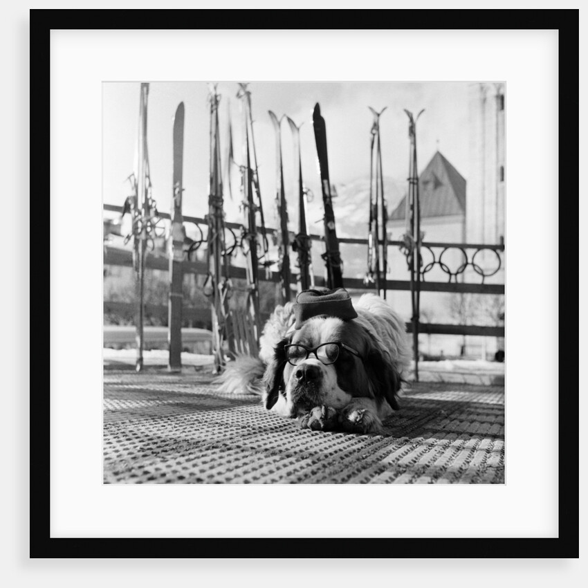 Winter Olympics 1956 by Bosher