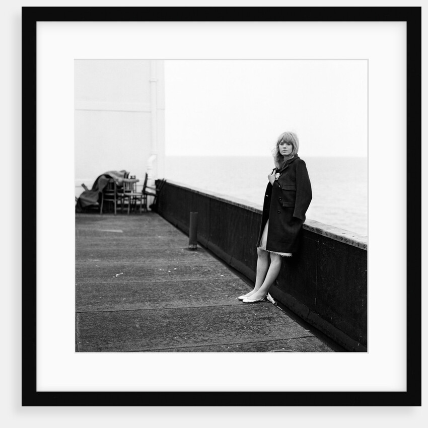 Marianne Faithfull by Terry Mealy