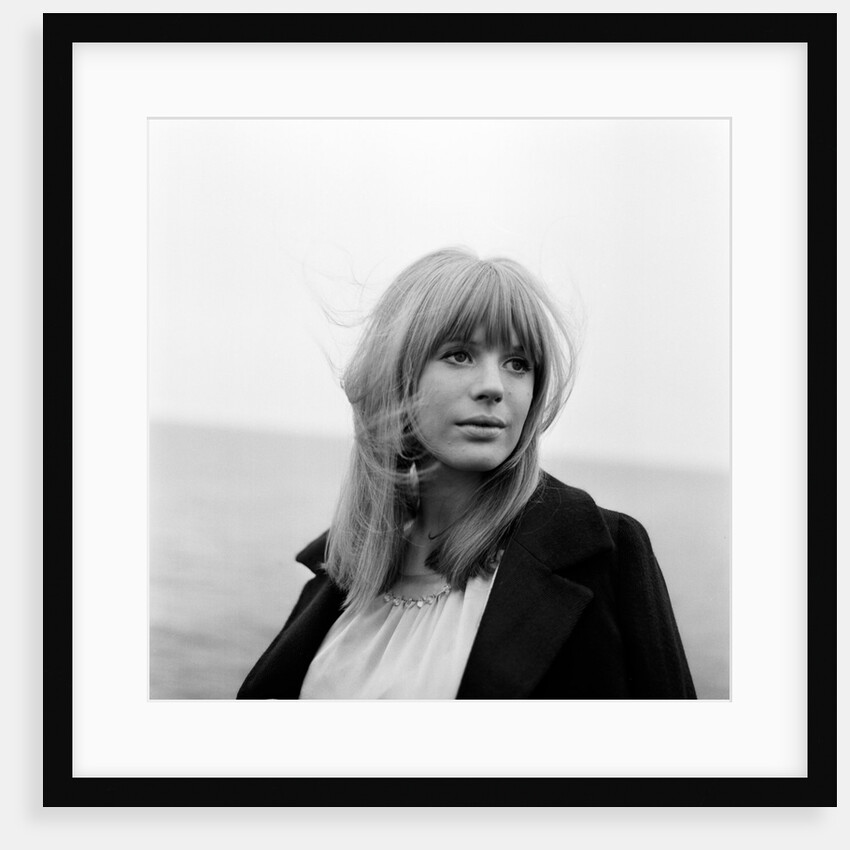 Marianne Faithfull by Terry Mealy
