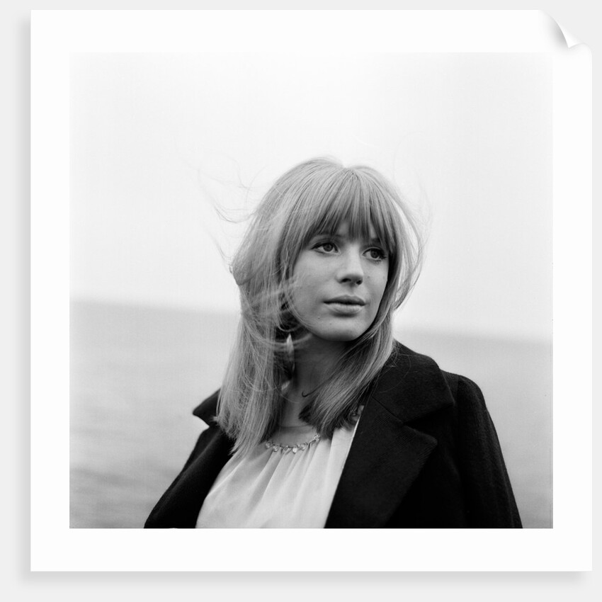 Marianne Faithfull by Terry Mealy