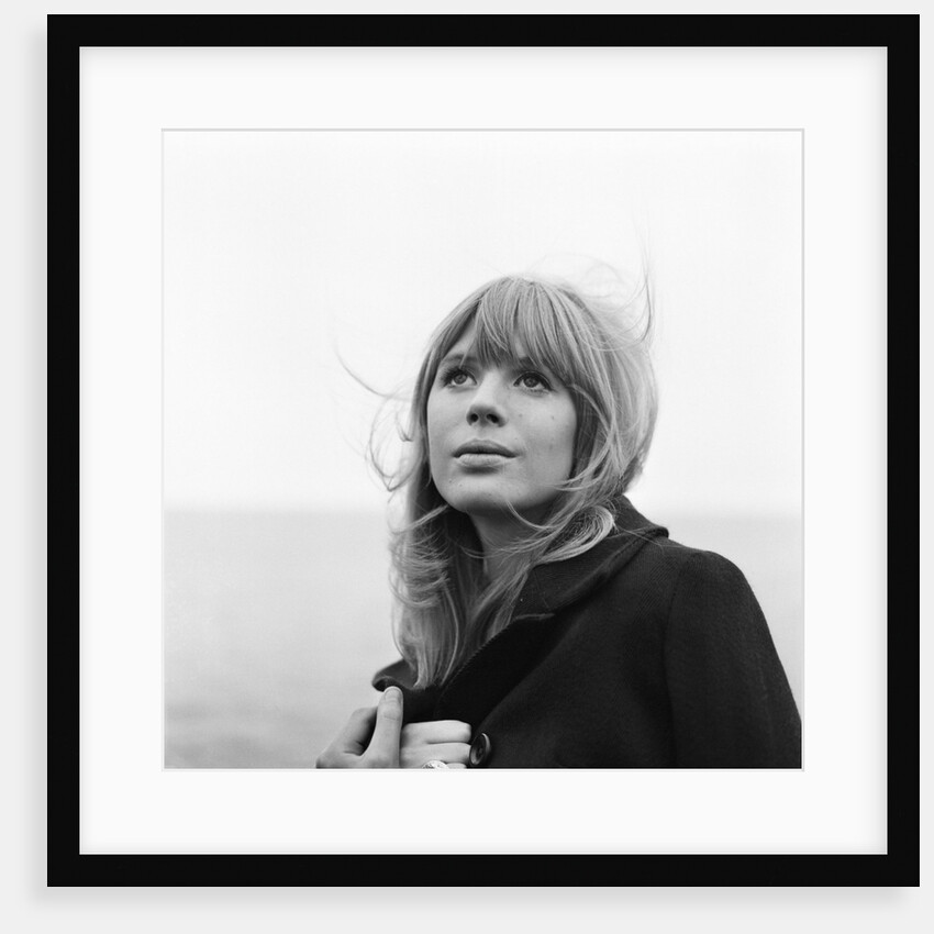 Marianne Faithfull by Terry Mealy