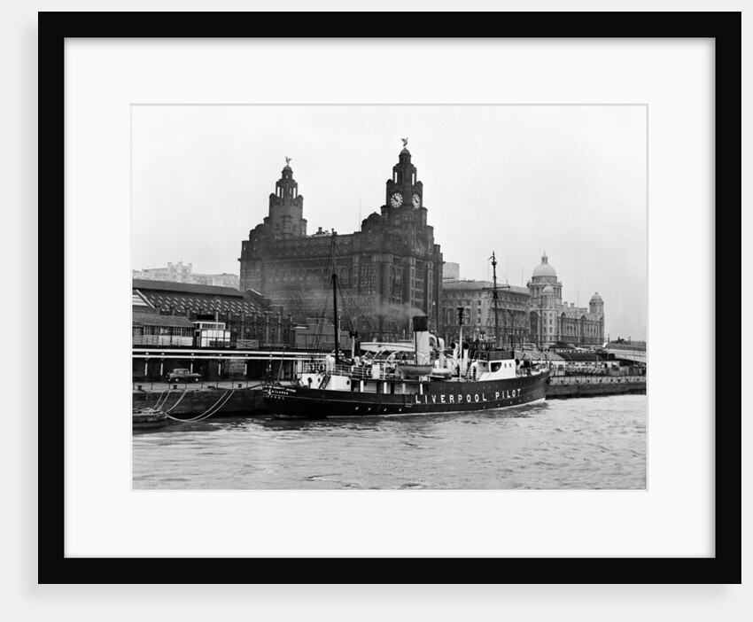 View of Liverpool 1954 by Bela Zola