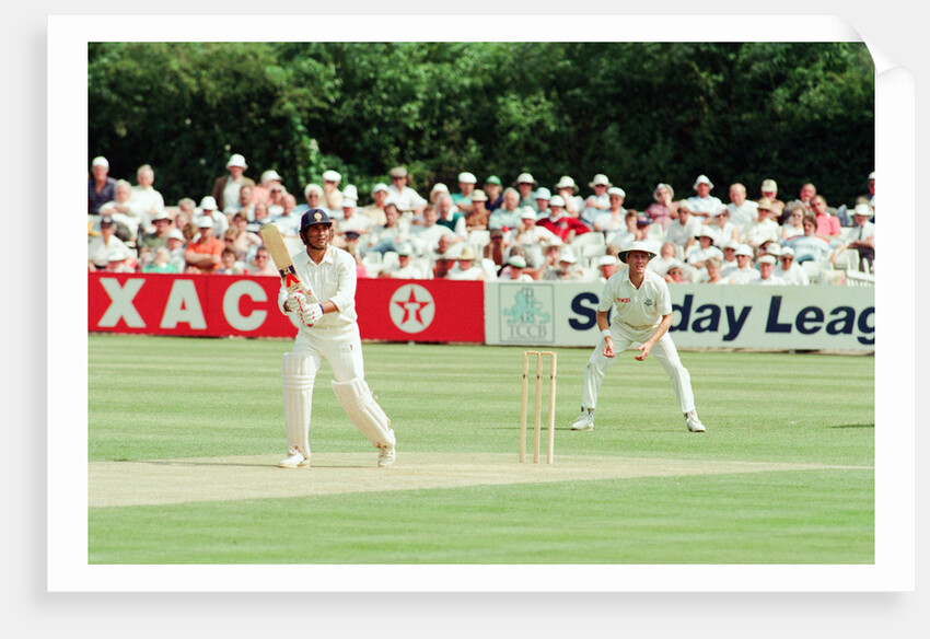 Cricket 1992 by Paul France