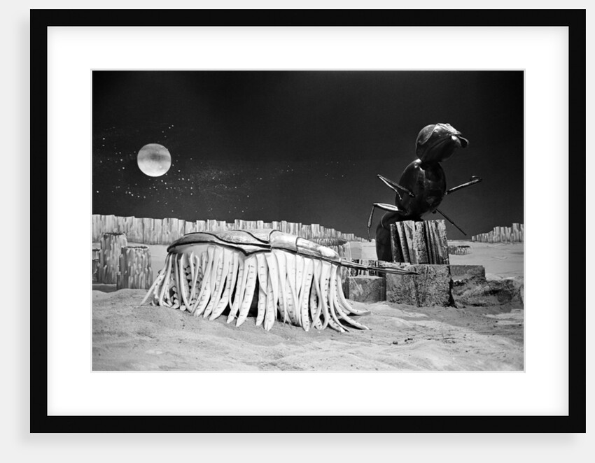 Dr Who, The Web Planet, 1965 by Alisdair MacDonald