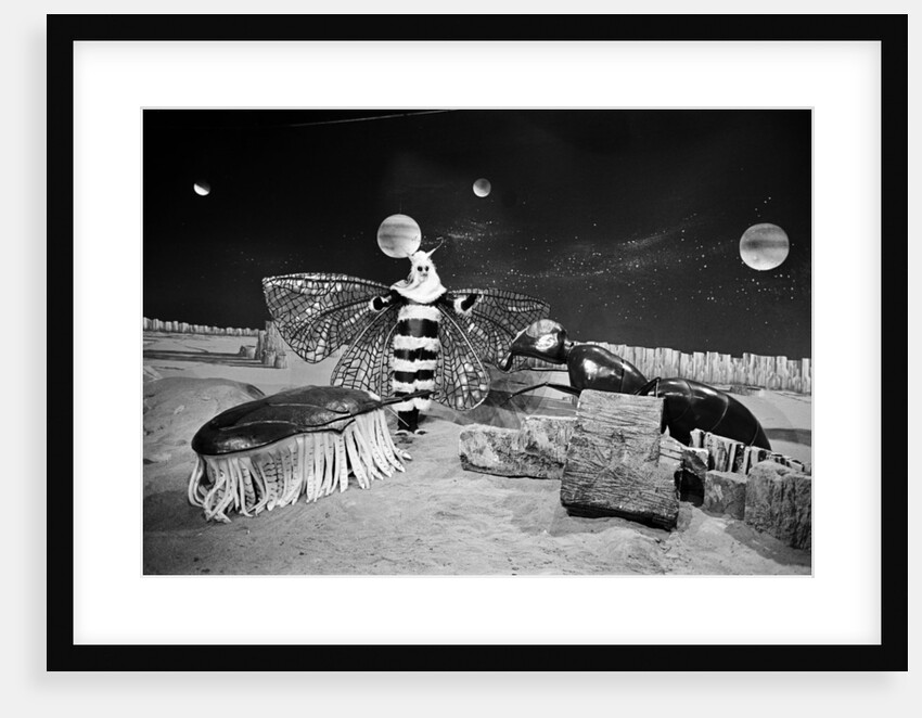 Dr Who, The Web Planet, 1965 by Alisdair MacDonald