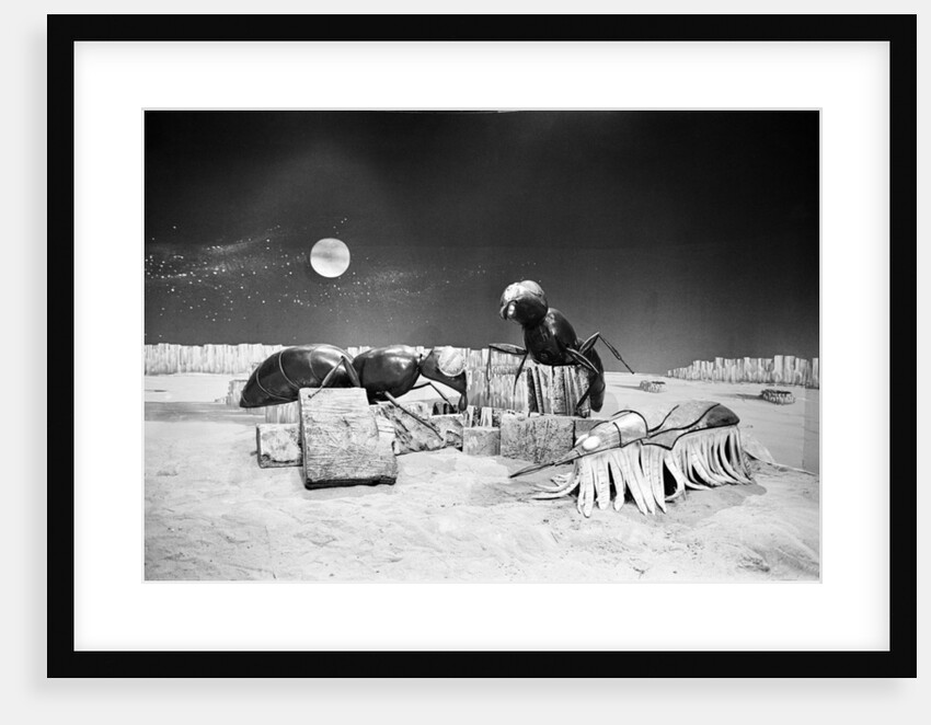 Dr Who, The Web Planet, 1965 by Alisdair MacDonald