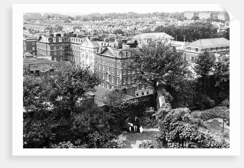 Derry & Tom's by Bill Rowntree