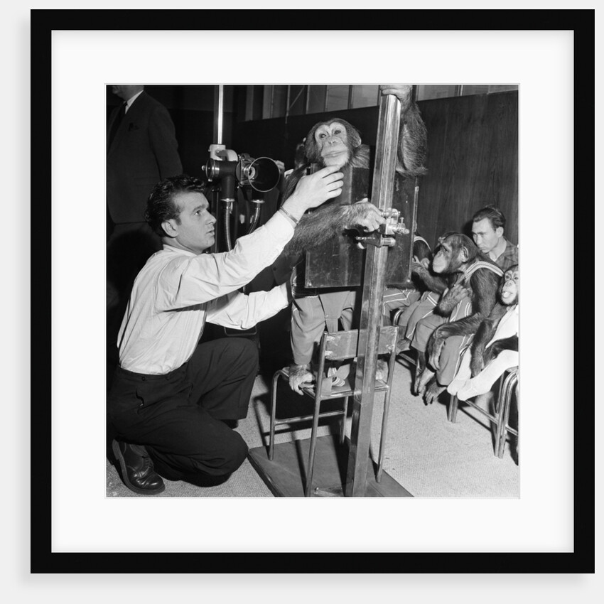 Bertram Mills Circus, 1958 by Staff