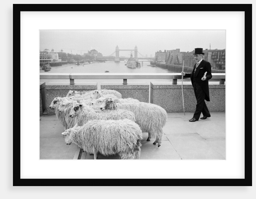 Harold Mote by Alistar Macdonald