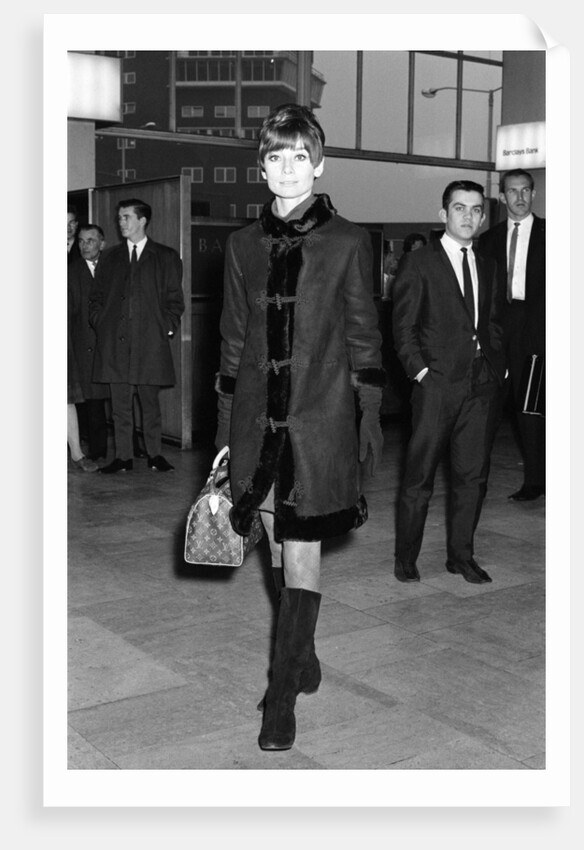 Audrey Hepburn by Staff