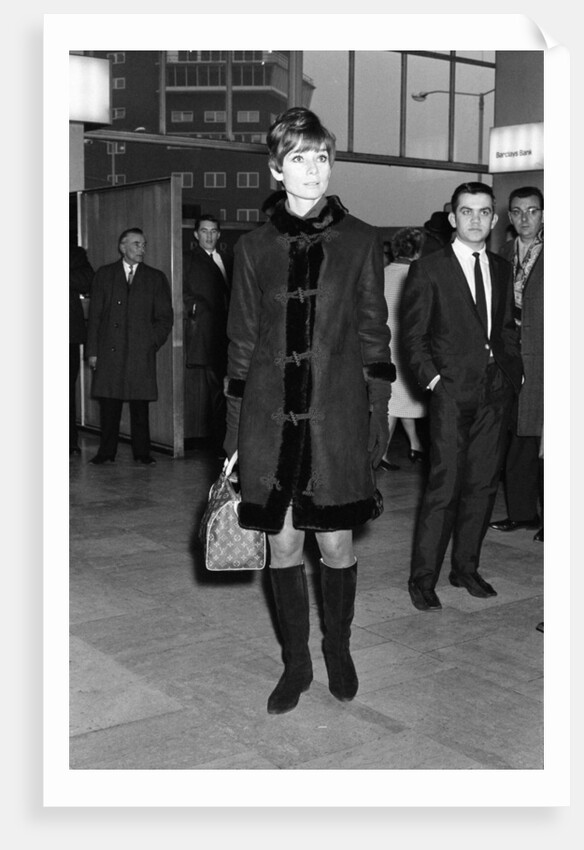 Audrey Hepburn by Staff