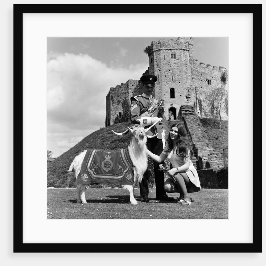 Cardiff Castle, 1969. by Ron Harding