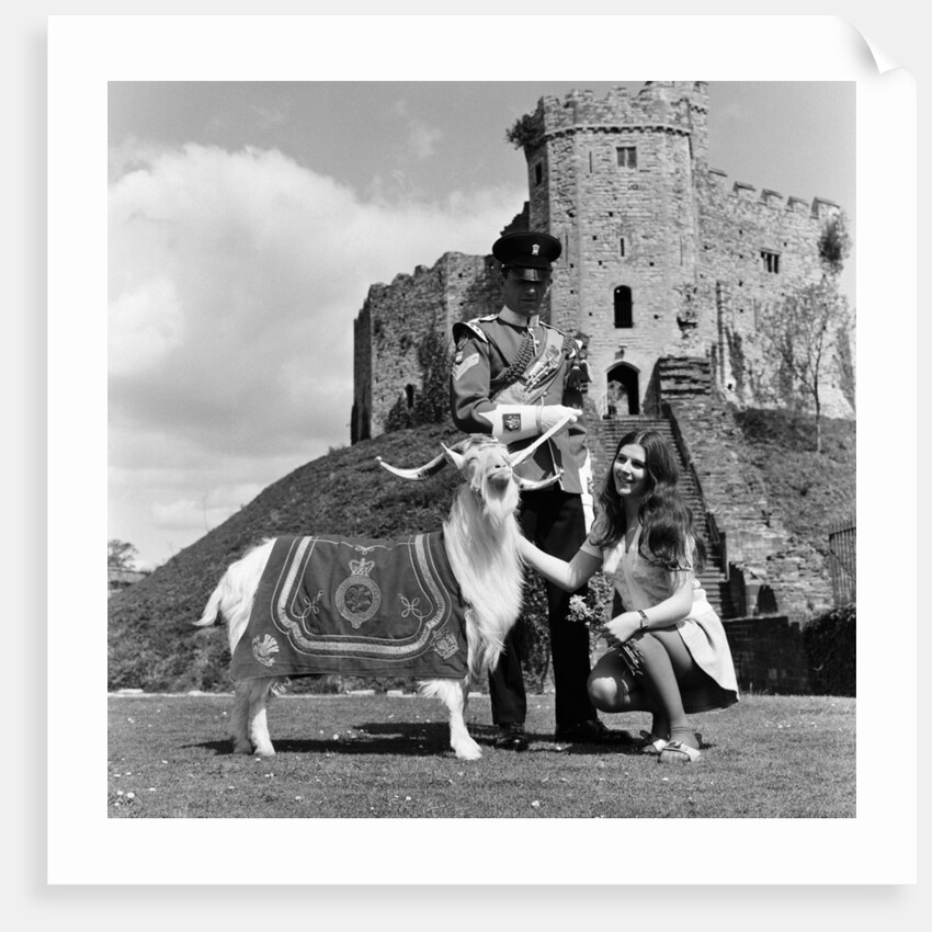 Cardiff Castle, 1969. by Ron Harding