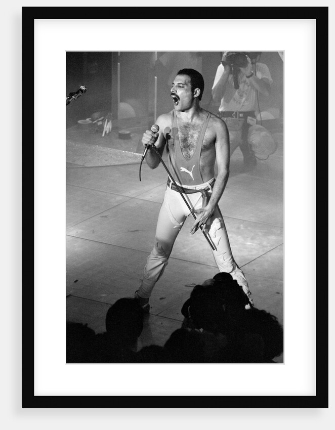 Freddie Mercury by Bill Rowntree