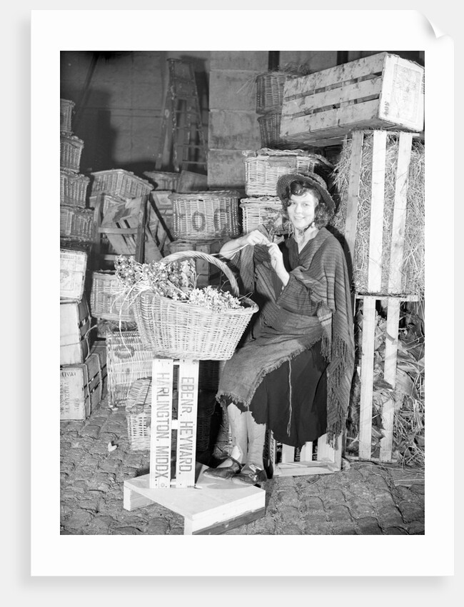 Pygmalion by Harold Tomlin