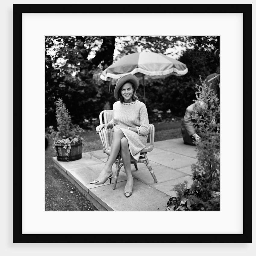 Life at the Top by Andrew Varley