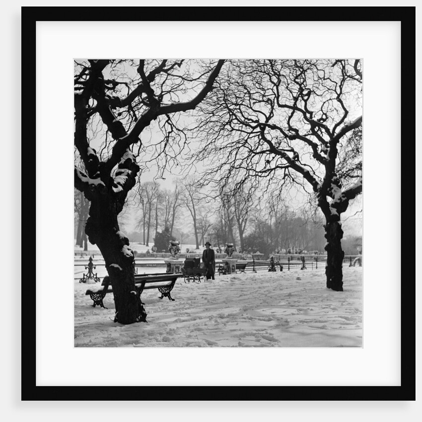 Hyde Park, circa 1953 by Staff