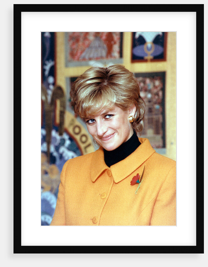 Princess Diana 1995 by Liverpool Echo