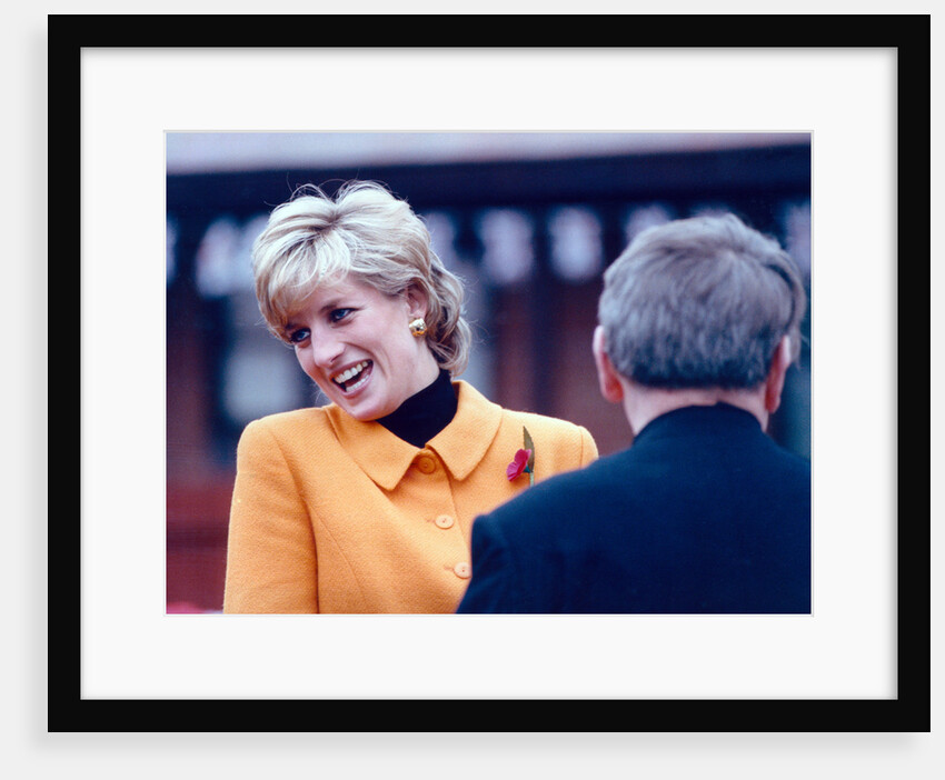 Princess Diana 1995 by Martin Birchall
