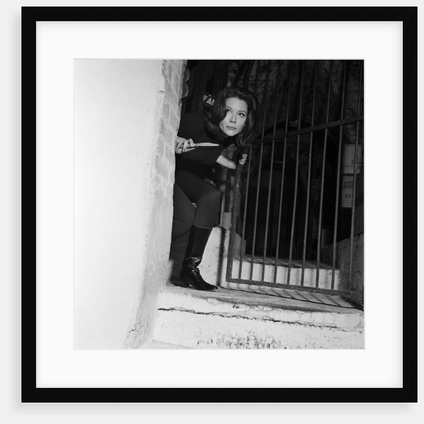 The Avengers by Doreen Spooner