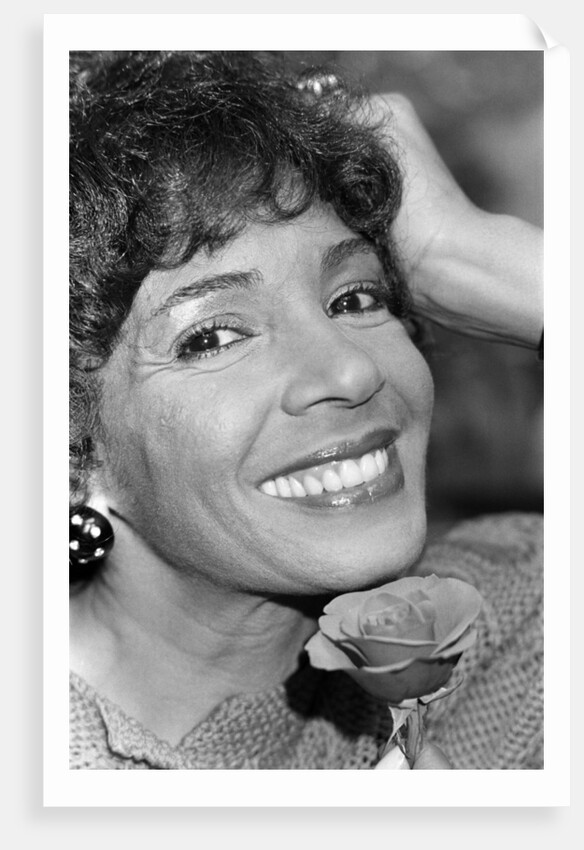 Shirley Bassey by Wilkinson