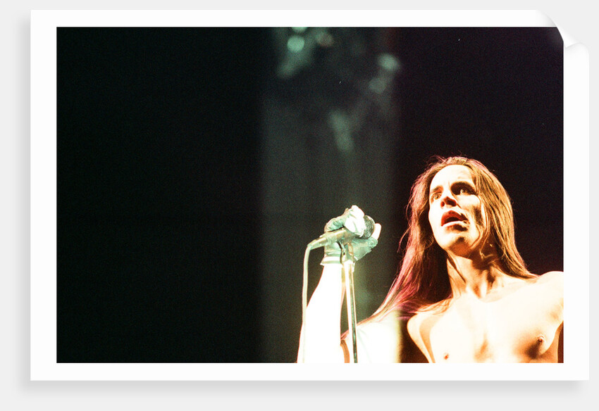 Red Hot Chili Peppers by Staff