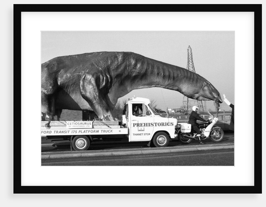 Dinosaur on the move in Kent by Ron Burton