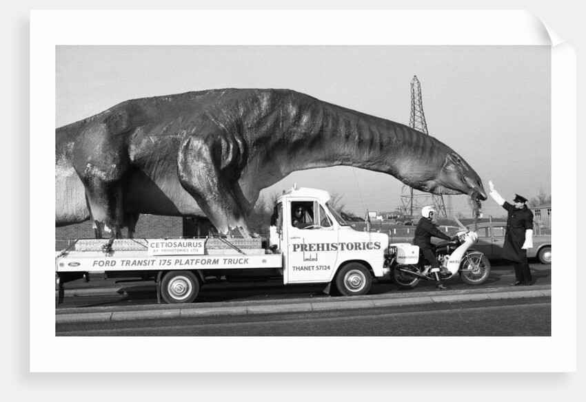 Dinosaur on the move in Kent by Ron Burton