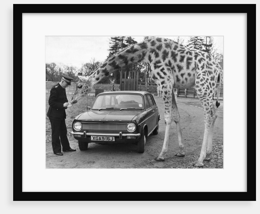 Constable Gerry Milne has the wildest beat in Scotland by Anonymous