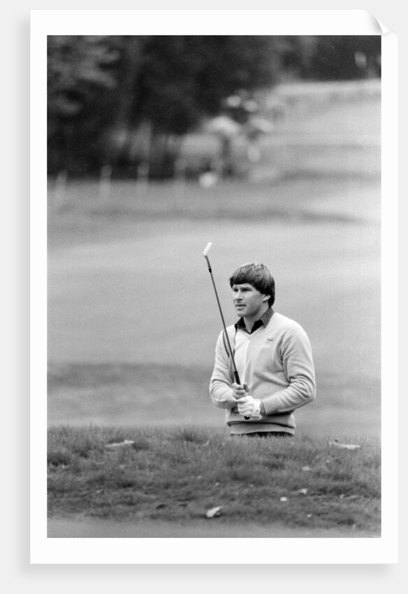 Golf 1983 by Peter Stone