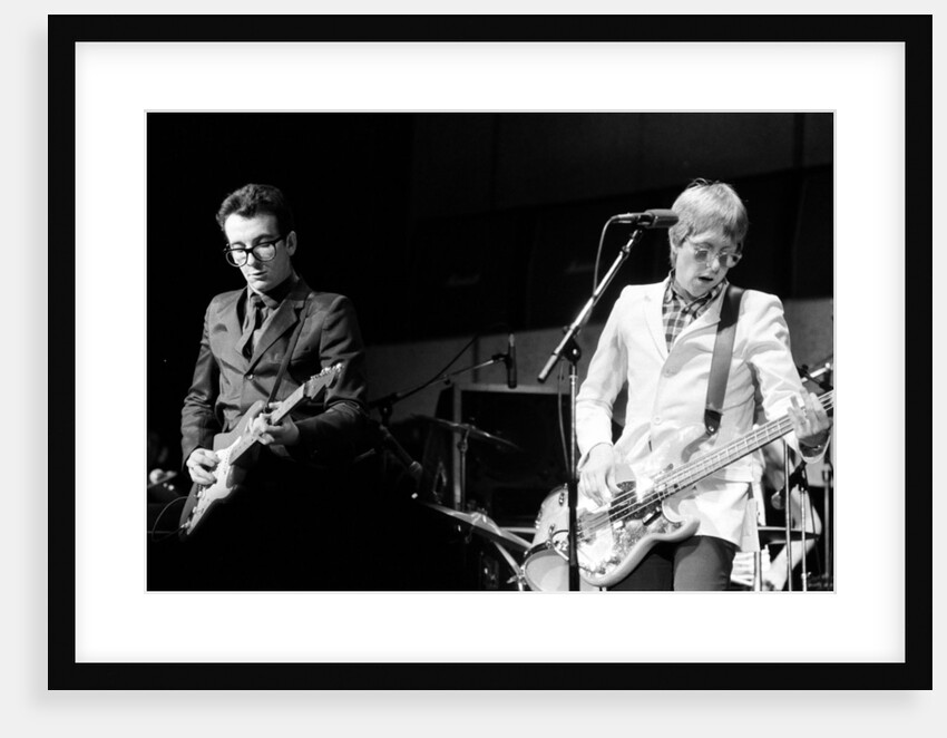 Elvis Costello, 1980 by Brendan Monks