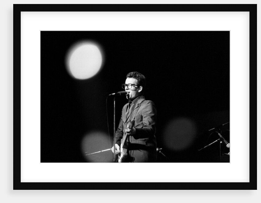 Elvis Costello, 1980 by Brendan Monks