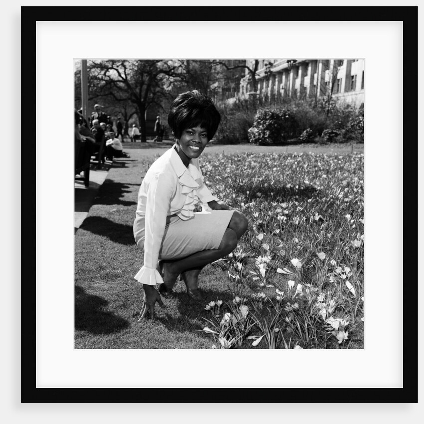 Dionne Warwick, 1965 by Eric Harlow