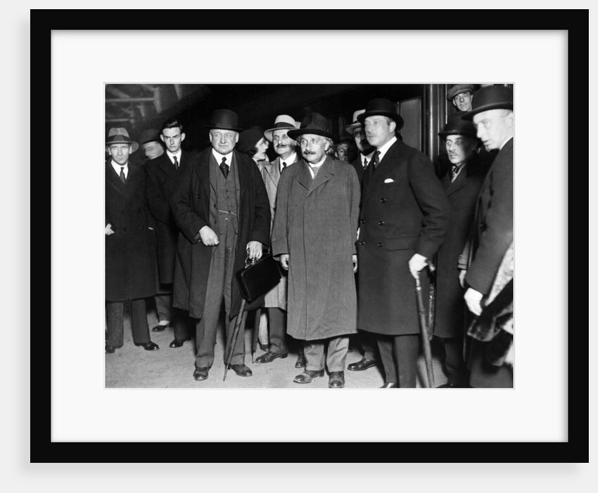 Professor Albert Einstein by Staff