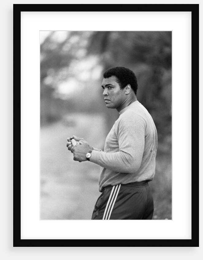 Muhammad Ali is fighting his way back to fitness by Staff
