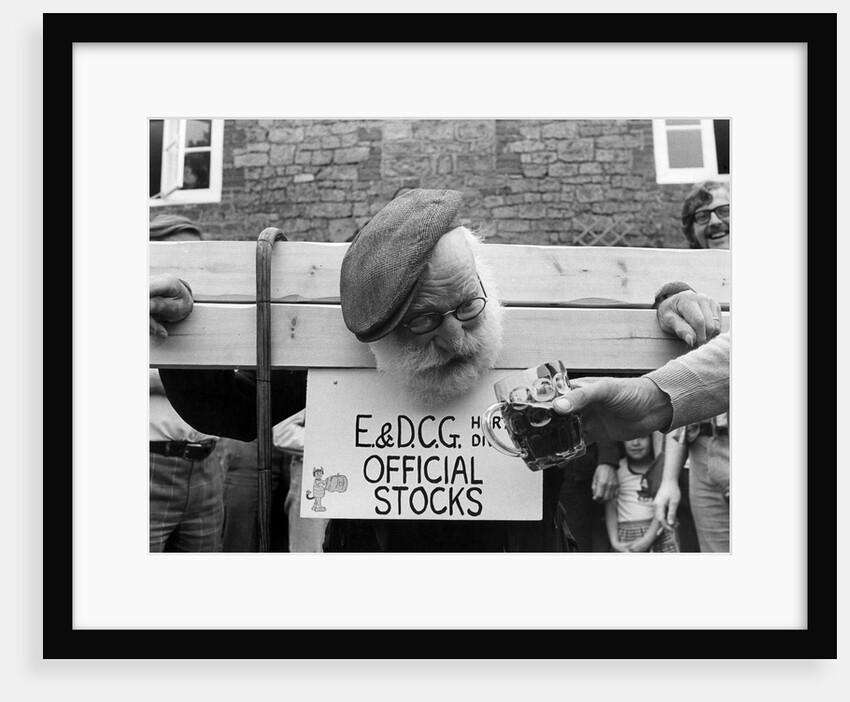 Pilloried, Alfie the pumpkin prowler! by Daily Mirror