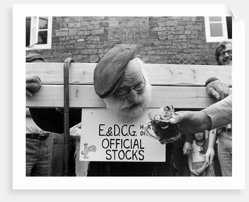 Pilloried, Alfie the pumpkin prowler! by Daily Mirror