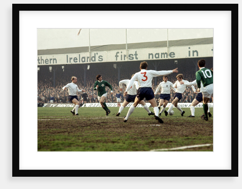 Ireland v England British Home Championship match at Windsor Park by C. Paterson