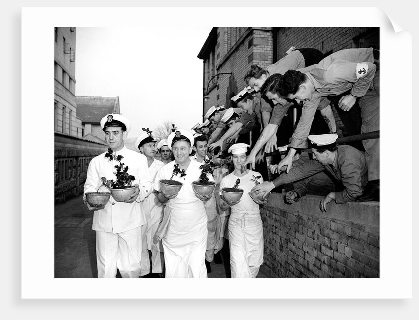 Navy cooks with Christmas puddings by Reg Lewis