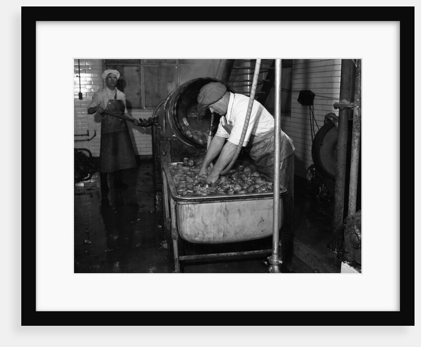 Carrot Powder making at Bristol by Staff