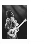 Prince Pop Star by Mike Maloney