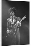 Prince Pop Star by Mike Maloney