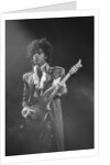 Prince Pop Star by Mike Maloney