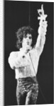 Prince Pop Star by Mike Maloney